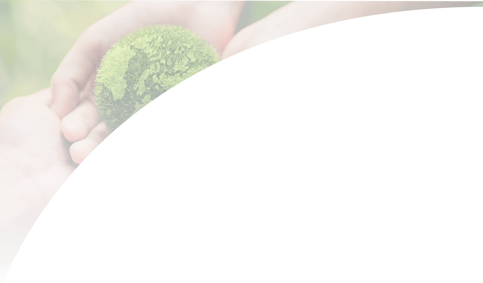 strategies-header
